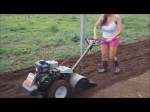 Фреза, мотоблок, грядообразователь, пленкоукладчик