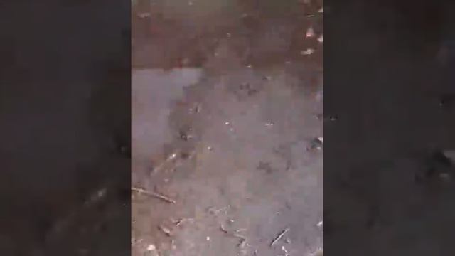 The  Habits Of Highly Effective People