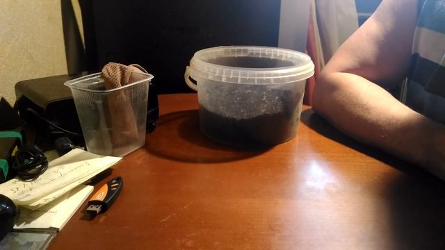 #Нитраты и #нитриты, чем они опасны в #аквариуме и как с ними бороться. смотреть онлайн