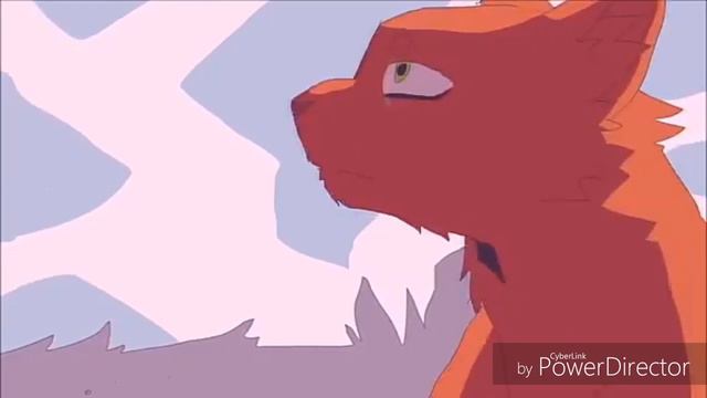 Коты воители клип ~ А помнишь вечер? ~ Ч. О смотреть онлайн