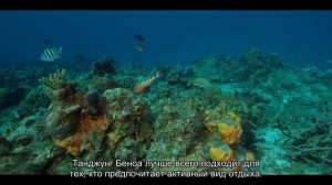 Сезон пляжного и курортного отдыха на Бали: когда лучше всего ехать на остров