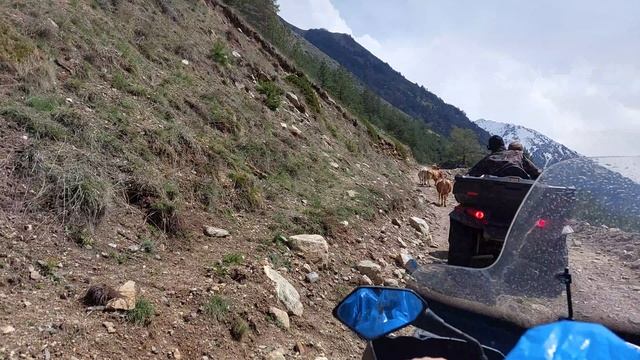 Приэльбрусье 4