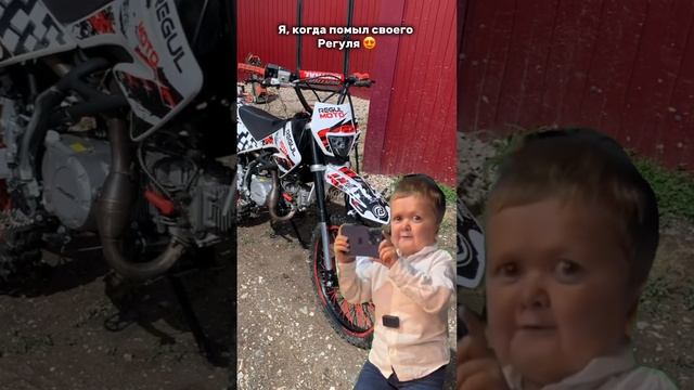 ??? #regulmoto #питбайк #покатушки #мотокросс #поле #лес #хазбик #рекомендации