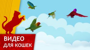 Видео для кошек - Игрушечные птички (Развлеки кота)