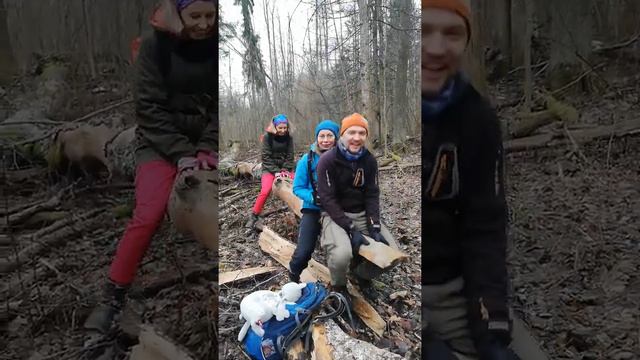 Звериными тропами / animal trails смотреть онлайн