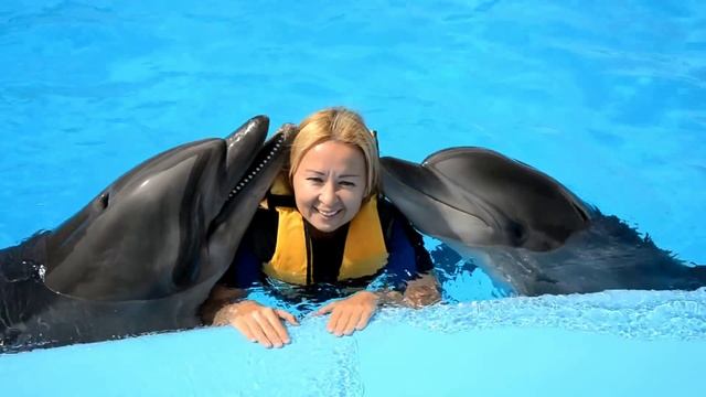 Swimming with dolphins in Dolphin World, Makadi Bay,Hurghada,Egypt. смотреть онлайн