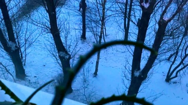 Вот и вечер подкрался незаметно вот такая прекрасная зимняя сказка 21 .02 12- градуса мороза смотреть онлайн