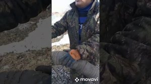 Принцип работы Ассенизаторской машины ГАЗ 53, ГАЗ 3307, ЗИЛ.