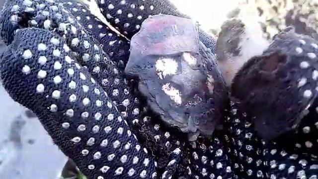 Поставь запятую: - "Сидеть дома нельзя на коп! смотреть онлайн
