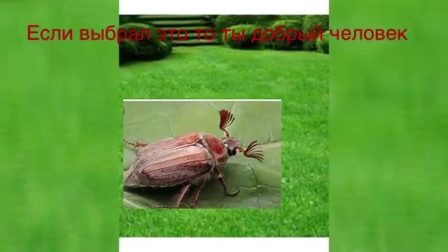 Тест какой ты человек добрый злой умный или нормальний смотреть онлайн