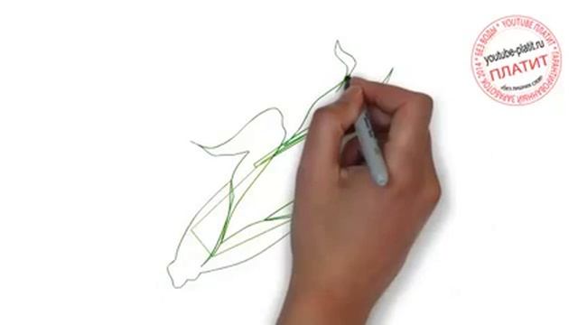 Как нарисовать початок кукурузы смотреть онлайн