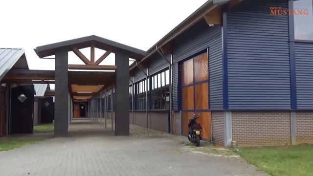 ЗА ПОВОДОМ к Елизавете Ореховой смотреть онлайн