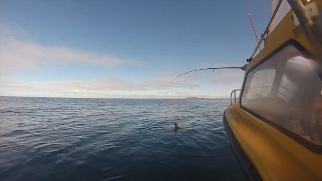 Whyalla '19 смотреть онлайн