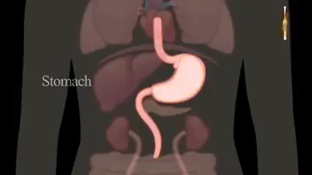 Польза поста