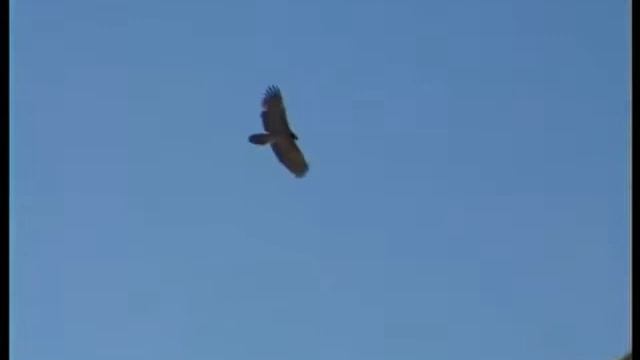 О жизни и Просветлении Принципы буддизма. Лха смотреть онлайн