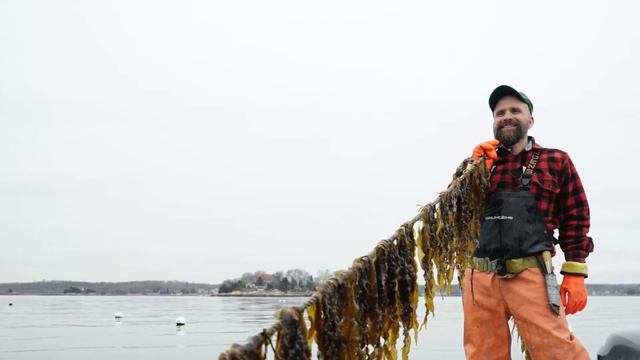 How to Start An Ocean Farm (Step-by-Step) смотреть онлайн