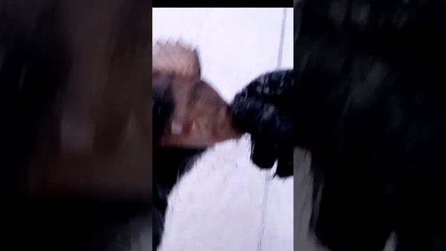 РЫБАЛКА НА ХАПУГУ! смотреть онлайн