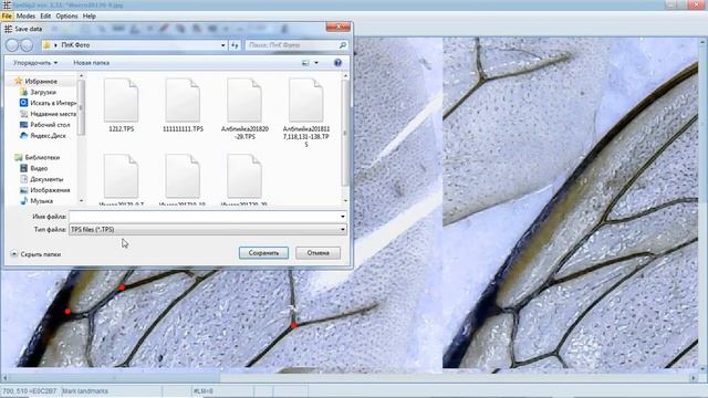 Порода по крыльям.Часть2 Обработка на компьютере. смотреть онлайн