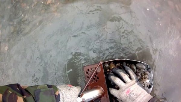 Deus2?Дэус2 .Тест 6-день. коп по???? воде#deus2 #дэус2