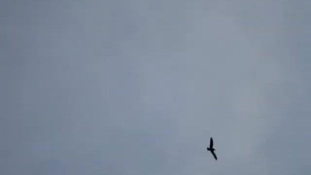 Queering Works: After Gonzalez-Torres смотреть онлайн