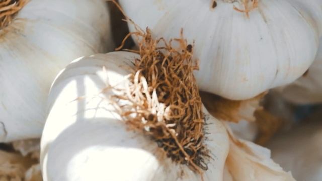 ЧИСТЯТ СОСУДЫ ГОЛОВЫ. Одного ЧЕСНОКА в месяц достаточно. Что творяд чеснок. смотреть онлайн