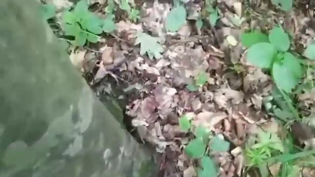 Зашёл в гости к отцу а там она/Сладкая Любовь смотреть онлайн