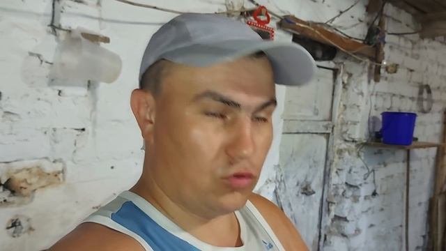 Гусь или гусыня??? смотреть онлайн