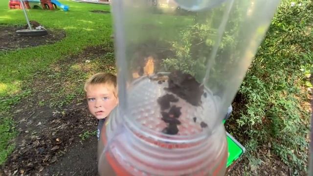 REAL BUGS PLAYGROUND - Bug Hunt for Kids!! Spiders, ROLY POLYS, worms, EARWIGS & More!! смотреть онлайн