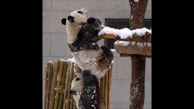 Путь Молитвы - Aбсолютная Преданность Всевышнему (часть 3/7) А.В. Клюев смотреть онлайн