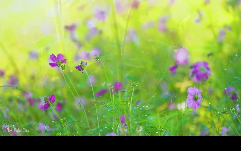 Релакс покой нервной системы смотреть онлайн