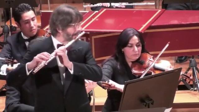 G. Briccialdi - Concerto for flute and orchestra - Part 1 смотреть онлайн