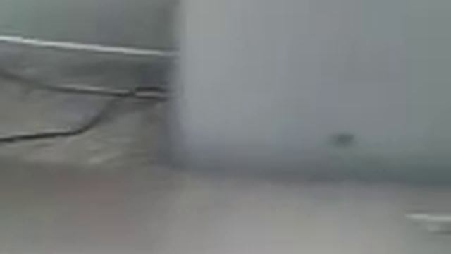 Видео №529051 смотреть онлайн