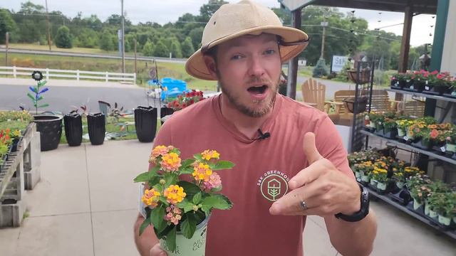 Garden Center Tour |Awe-Inspiring Plant Ideas!| смотреть онлайн