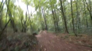 НОВЫЕ ТРЮКИ НА BMX? ДНЕВНИК РАЙДЕРА #8 ОДИН ДЕНЬ НА ДЁРТЕ. BMX DIRT