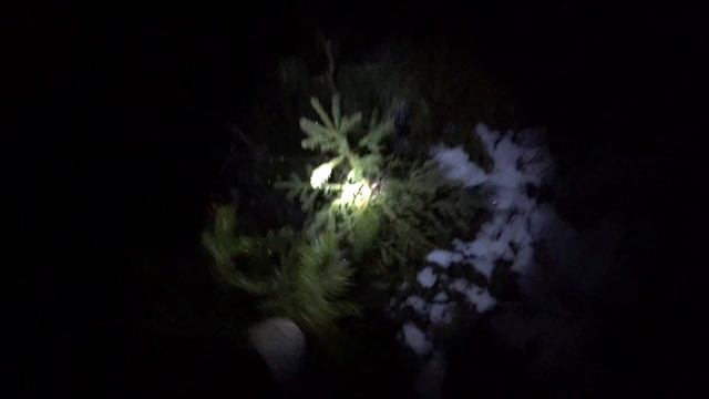 Лось и Медведь за одну охоту... смотреть онлайн