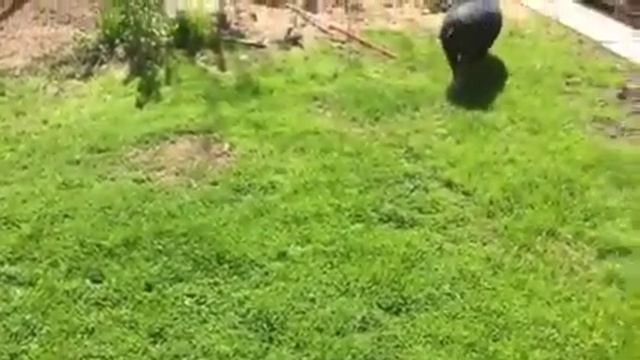 Весеннее танго смотреть онлайн