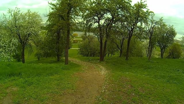 Экшн камера SJ6000 (TEST5) смотреть онлайн