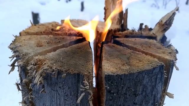 Доход 15 000 рублей в день с помощью бензопилы без копейки вложений ч 19 смотреть онлайн