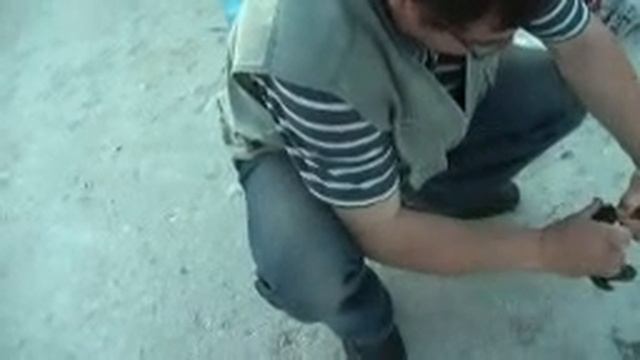 БОЛГАРИЯ: Вторая рыба... Bulgaria