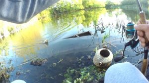 Вечерняя рыбалка На пруду у дома Ловля на микроджиг