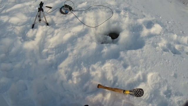 Зимняя рыбалка на окуня в Новосибирске. Рыбалка на озере Глухое. Fishing In Siberia. Рыбалка 2020
