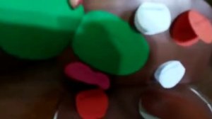 Макет клетки растения для 5 класса