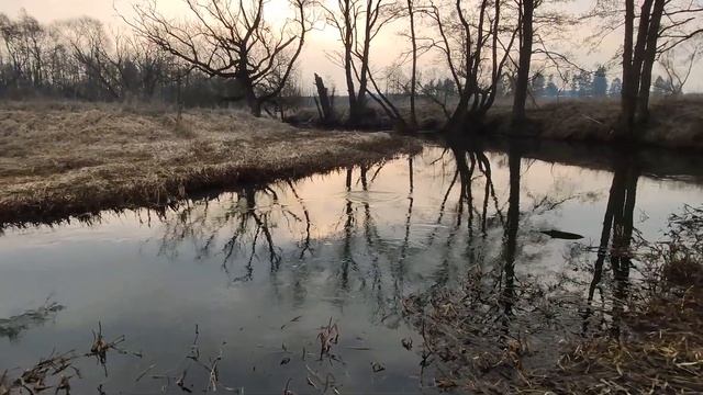 Как словить голавля на воблер "майский жук" от @chafer.37 смотреть онлайн