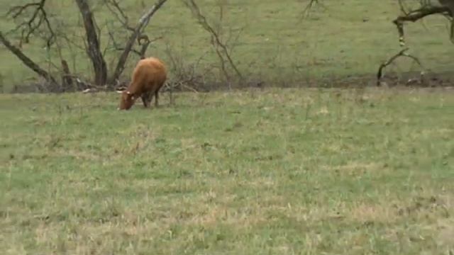 TATRA 815 Арктик смотреть онлайн