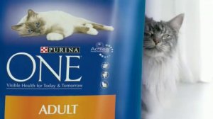 Purina ONE TV Ad
