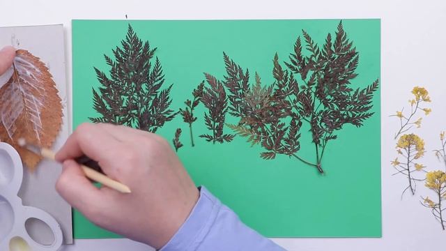 Ёжик из осеннего листа вяза. смотреть онлайн