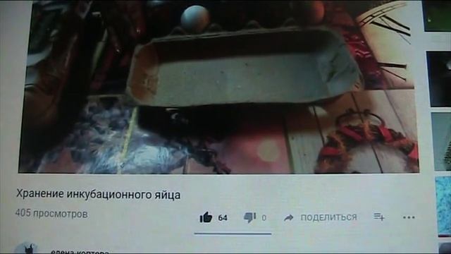 Как хранить яйцо до инкубации правильно???//Секреты хороших урожаев. смотреть онлайн