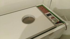 ИНКУБАЦИЯ ЯИЦ В ИНКУБАТОРЕ Норма ПАРКА // Птичник Вячеслава Синего