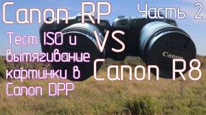 Canon RP VS Canon R8. Часть 2. Тест ISO и вытягивание картинки в Canon DPP