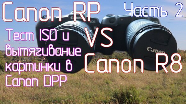 Canon RP VS Canon R8. Часть 2. Тест ISO и вытягивание картинки в Canon DPP